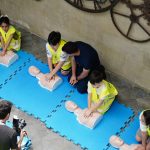 pexels-photo-32961444